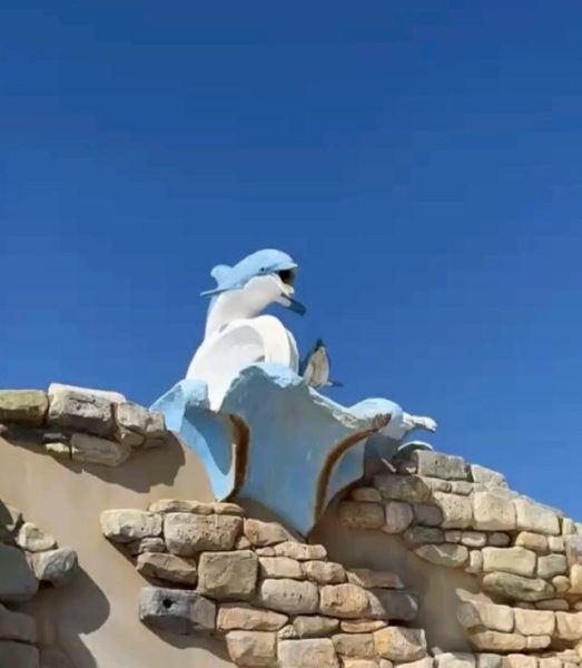 ちゃくちゃくと・・・・♪