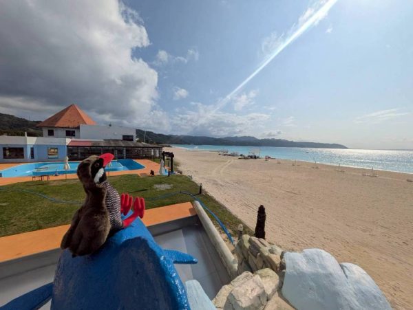 春の風に、夏の匂いが混じり始めました。🌿✨