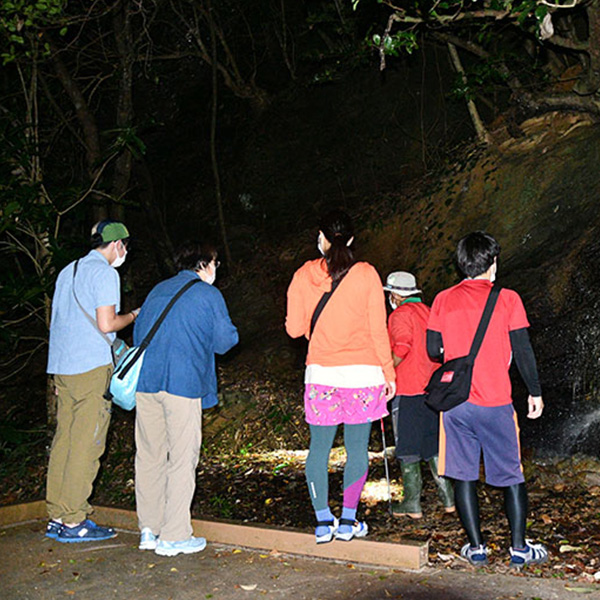 保全体験型ナイトツアーAKISAMIYO