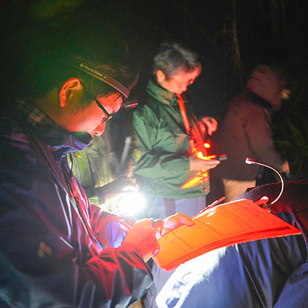 保全体験型ナイトツアーAKISAMIYO