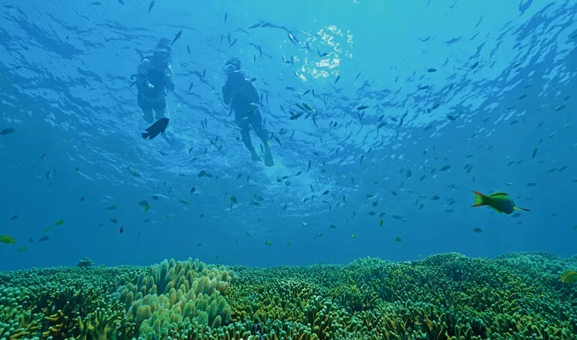 マリンアクティビティ