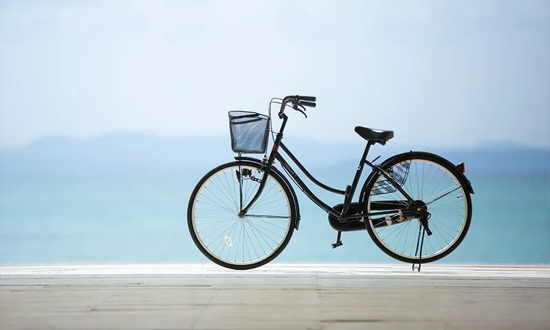 フィールドスポーツ