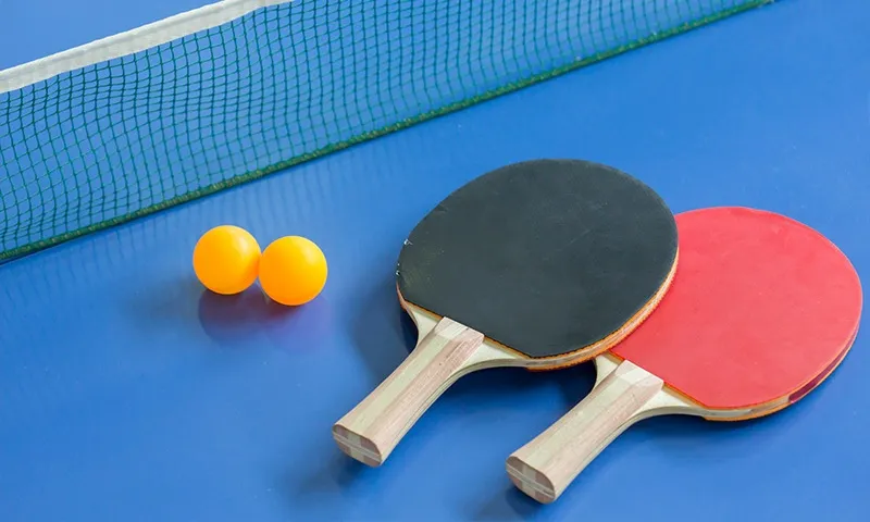 フィールドスポーツ