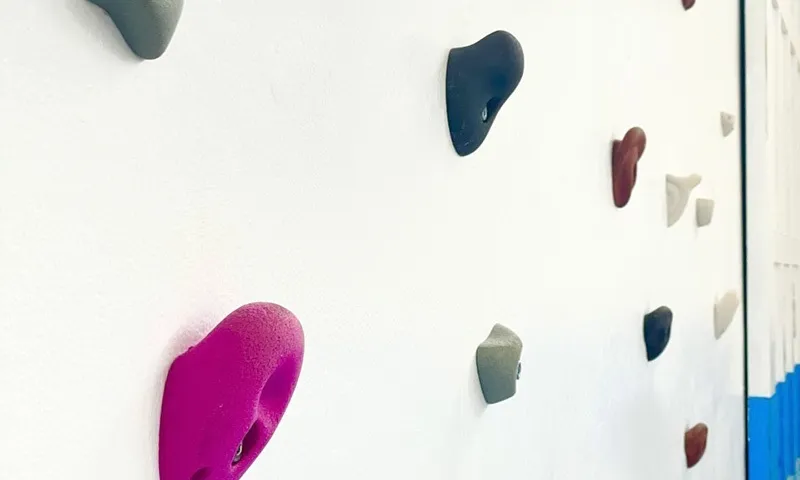 フィールドスポーツ