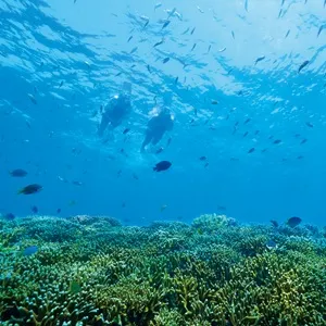 シュノーケリングツアー