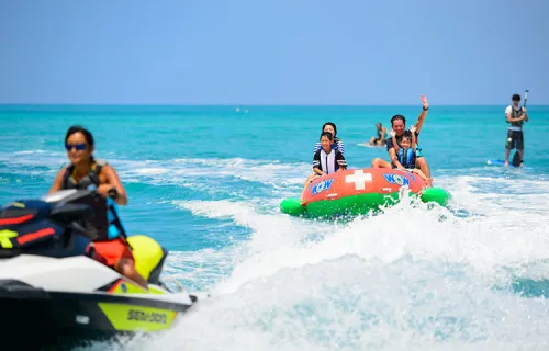 人気ランキング 1位