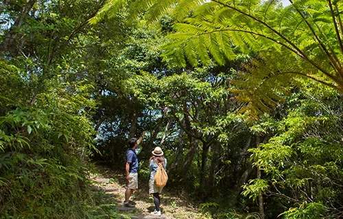 人気ランキング 2位