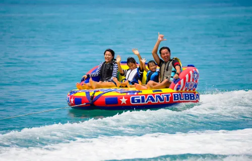 人気ランキング 3位