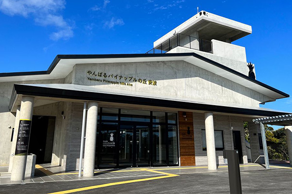 やんばるパイナップルの丘 安波