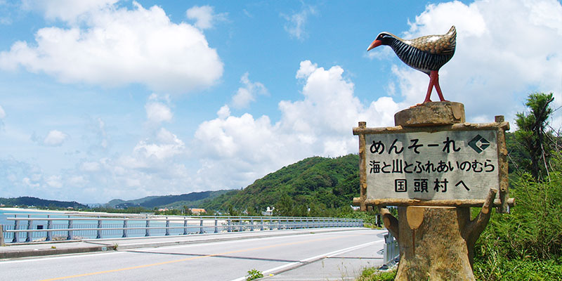 やんばる3村観光情報