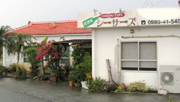 シーサーズ