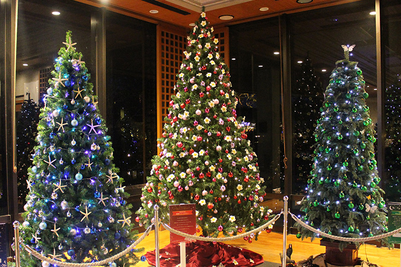 クリスマスツリー