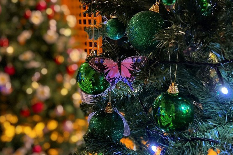 クリスマスツリー