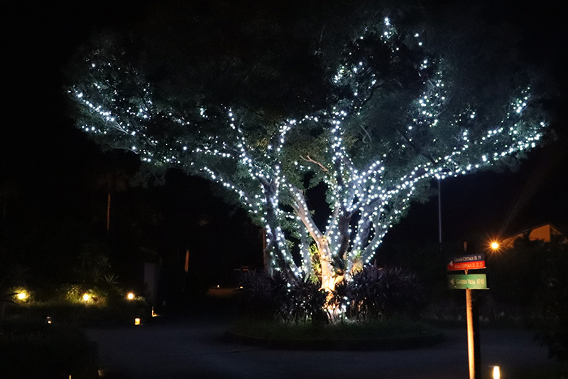 オクマイルミネーション