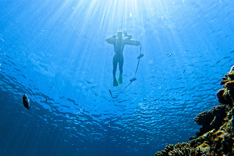 オクマわんぱく教室